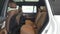 2026 Mercedes-Benz GLS 450 4MATIC® SUV