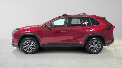 2024 Toyota RAV4 Hybrid XLE Premium
