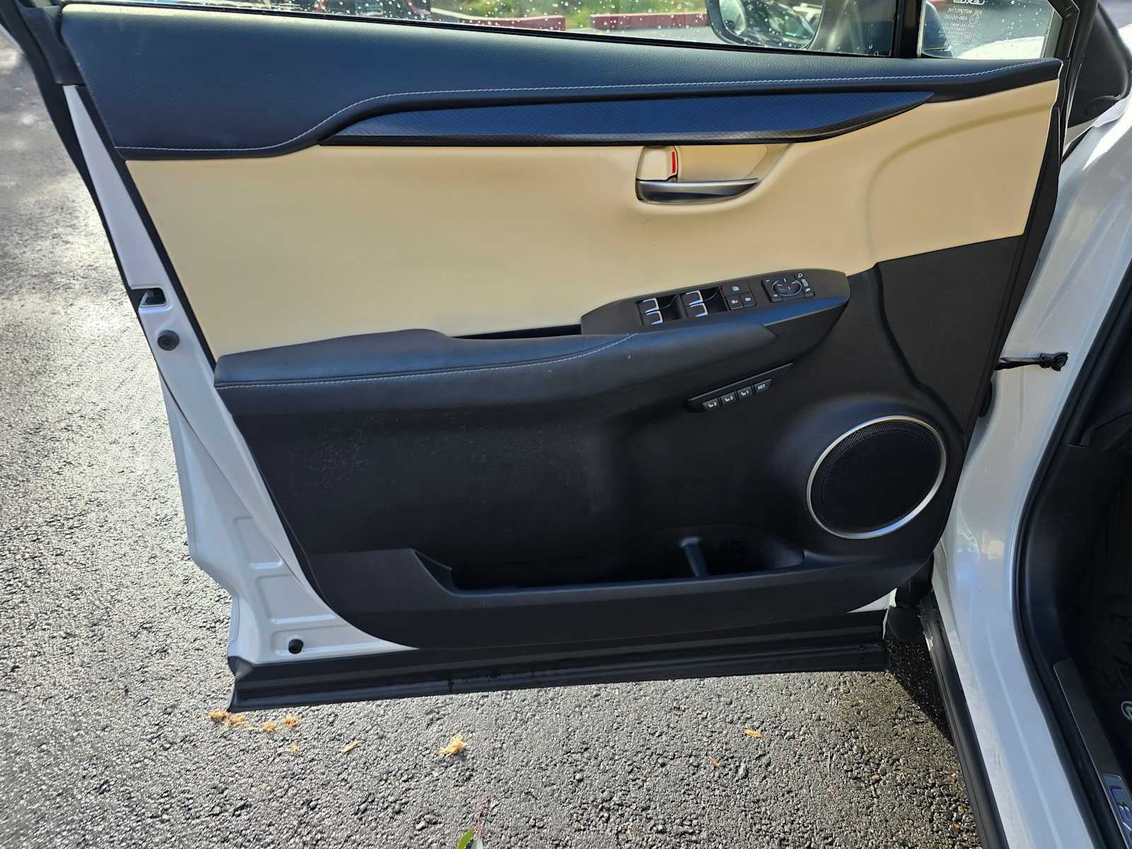 2019 Lexus NX NX 300h AWD