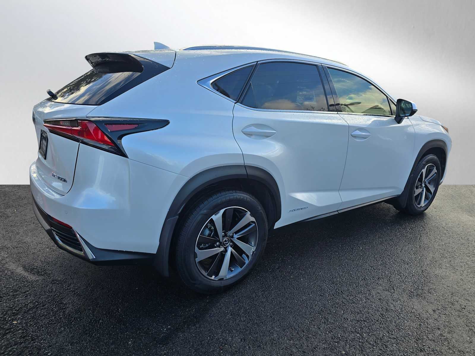 2019 Lexus NX NX 300h AWD